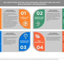 Diagram showing four quadrants showing concepts from nature and how business architecture can utilize these principles