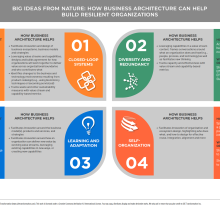 Diagram showing four quadrants  showing concepts from nature and how business architecture can utilize these principles