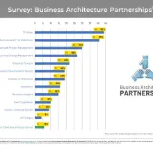 bar chart showing business architecture partnership distribution