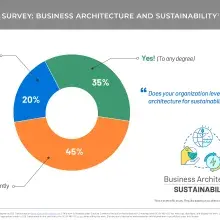 Pie chart showing business architecture leveraged for Sustainabillity