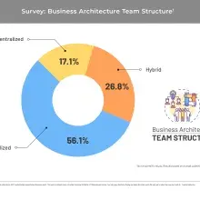 pie chart showing business architecture team structure